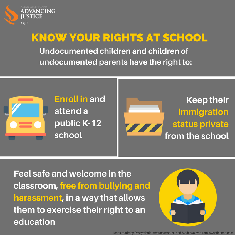 infographic - undocumented students' rights